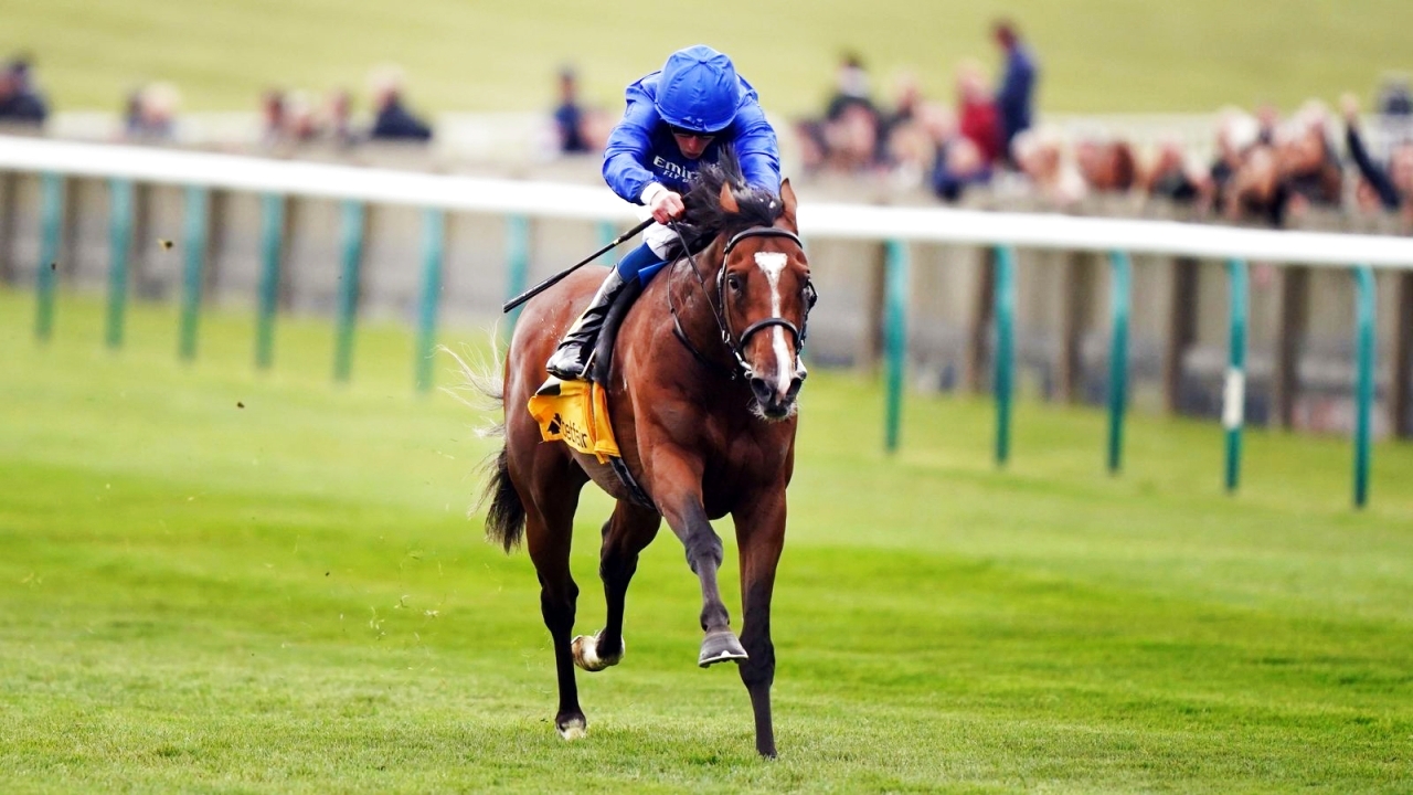 "«ديزرت كراون» أبرز المرشحين لنيل اللقب | أرشيفية"