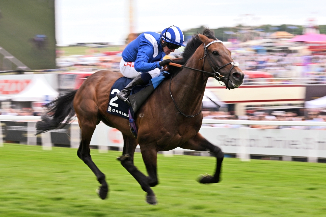 "«حكم» يتألق في «كورونيشن كب» | أ ف ب"