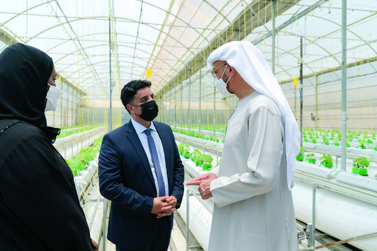 "محمد بن زايد متفقداً البيوت البلاستيكية"