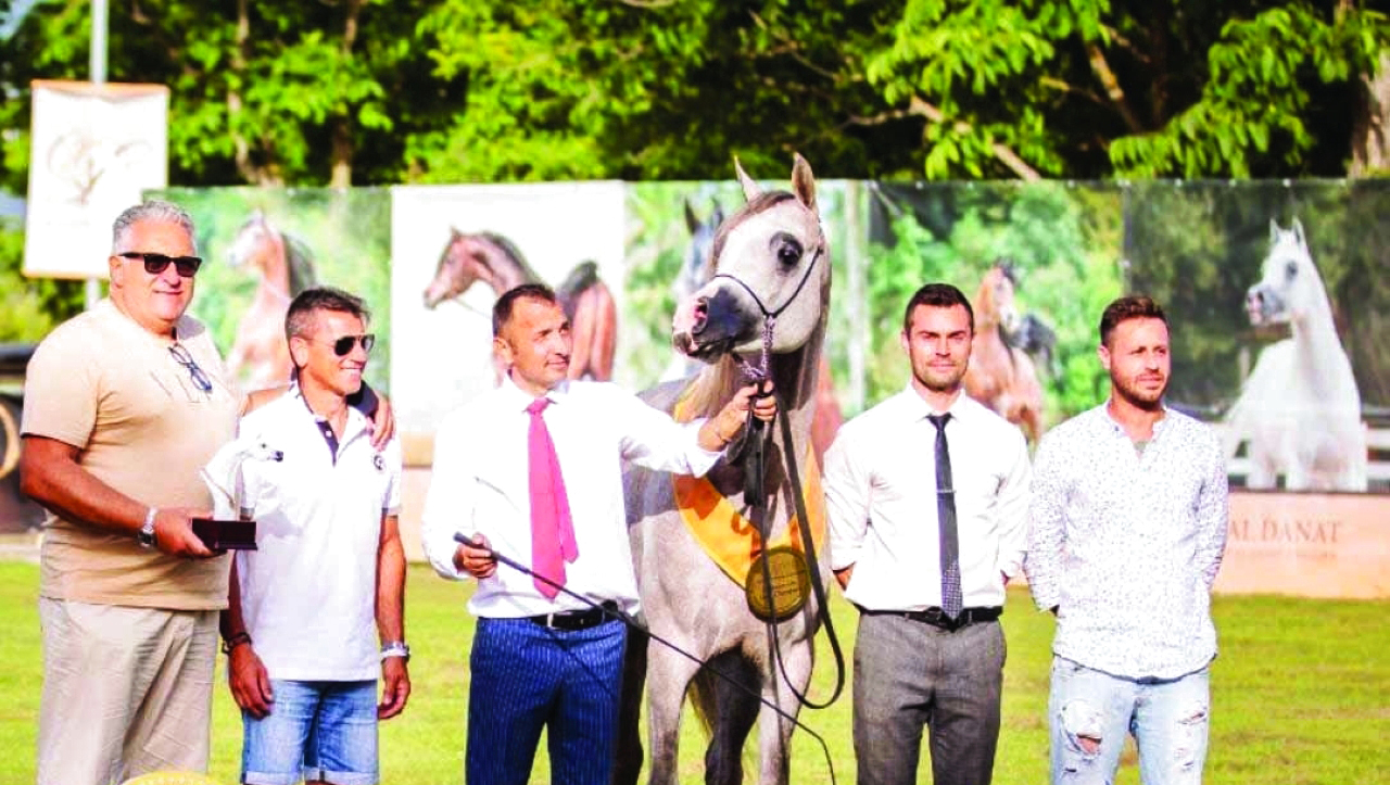 مربط دبي يتوج بالذهب في «فيسوفيو الدولية»