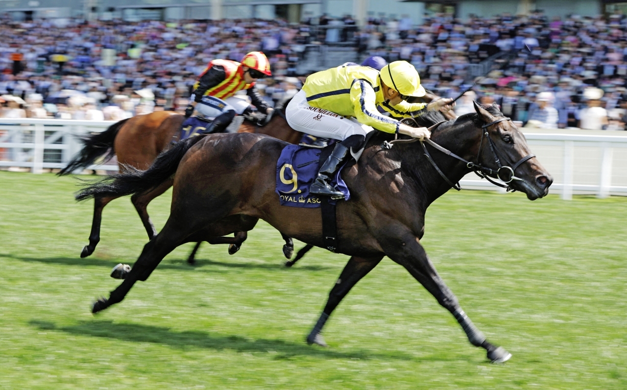 "«بيرفكت باور» نجم «كومنولث كب» رويترز"