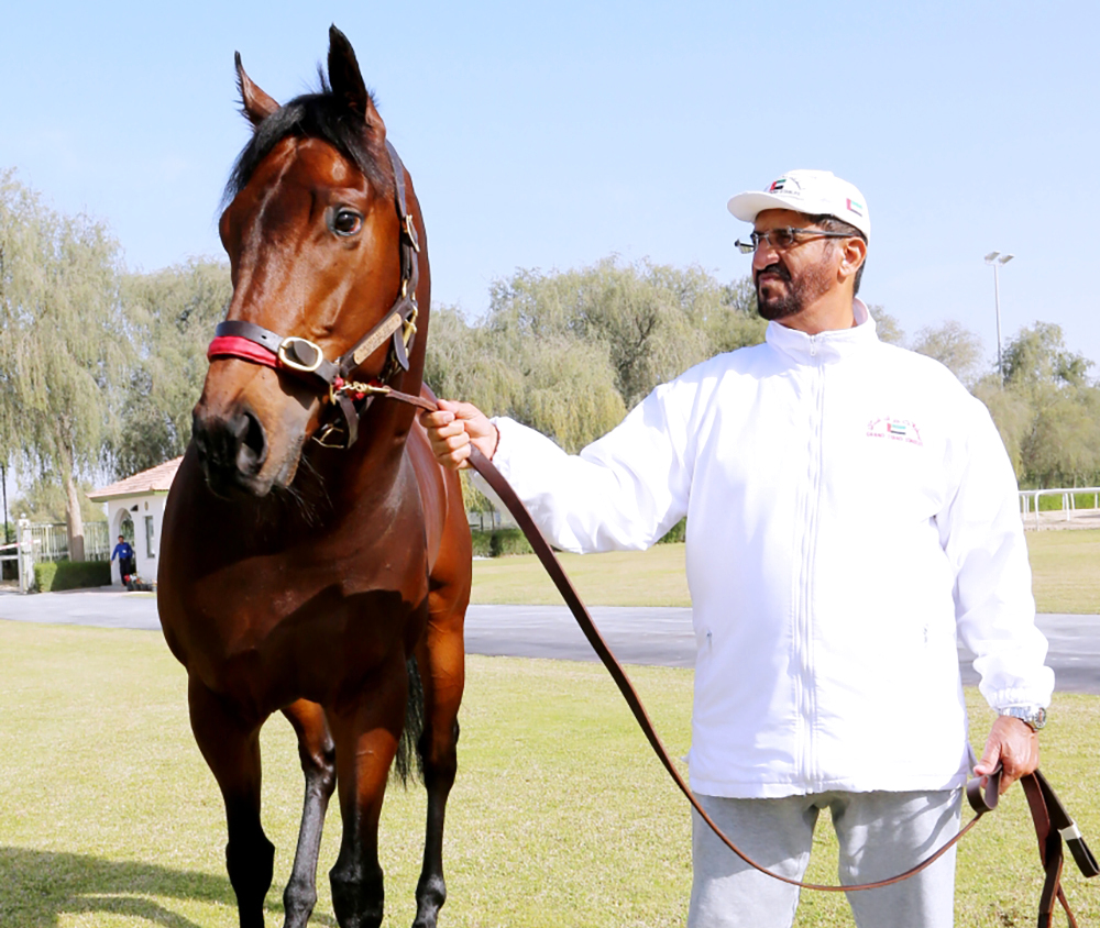 "علي الرايحي.. مسيرة طويلة مع الخيل | البيان"