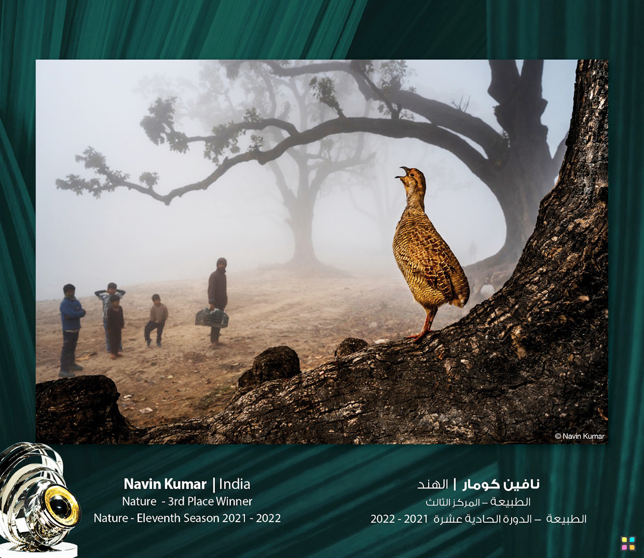 "الفائز بالمركز الثالث في الطبيعة"