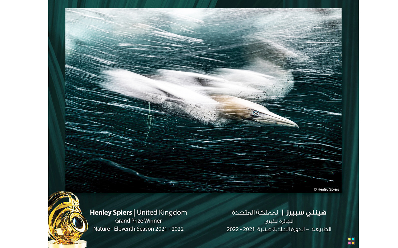 "الصورة الفائزة بالمركز الأول"