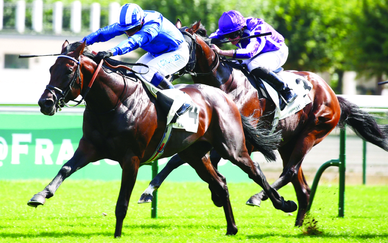 "«بعيد» أبرز المرشحين لنيل اللقب اليوم | أرشيفية"