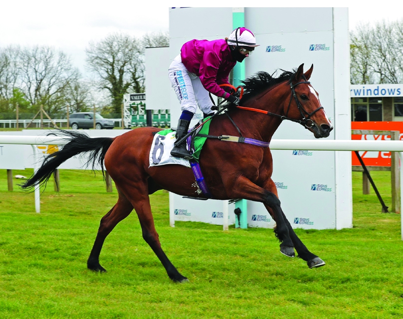 "«ابن الريح» أقوى المرشحين للقب | البيان"