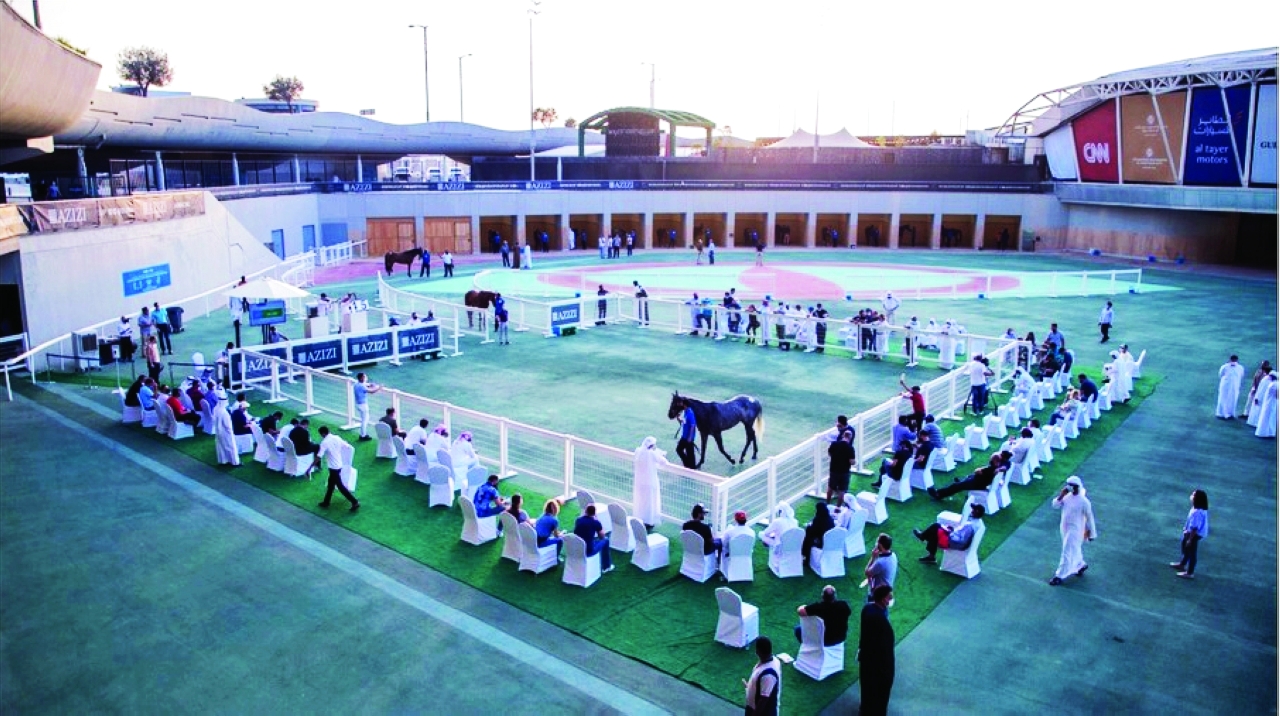 "جانب من فعالية سابقة | أرشيفية"