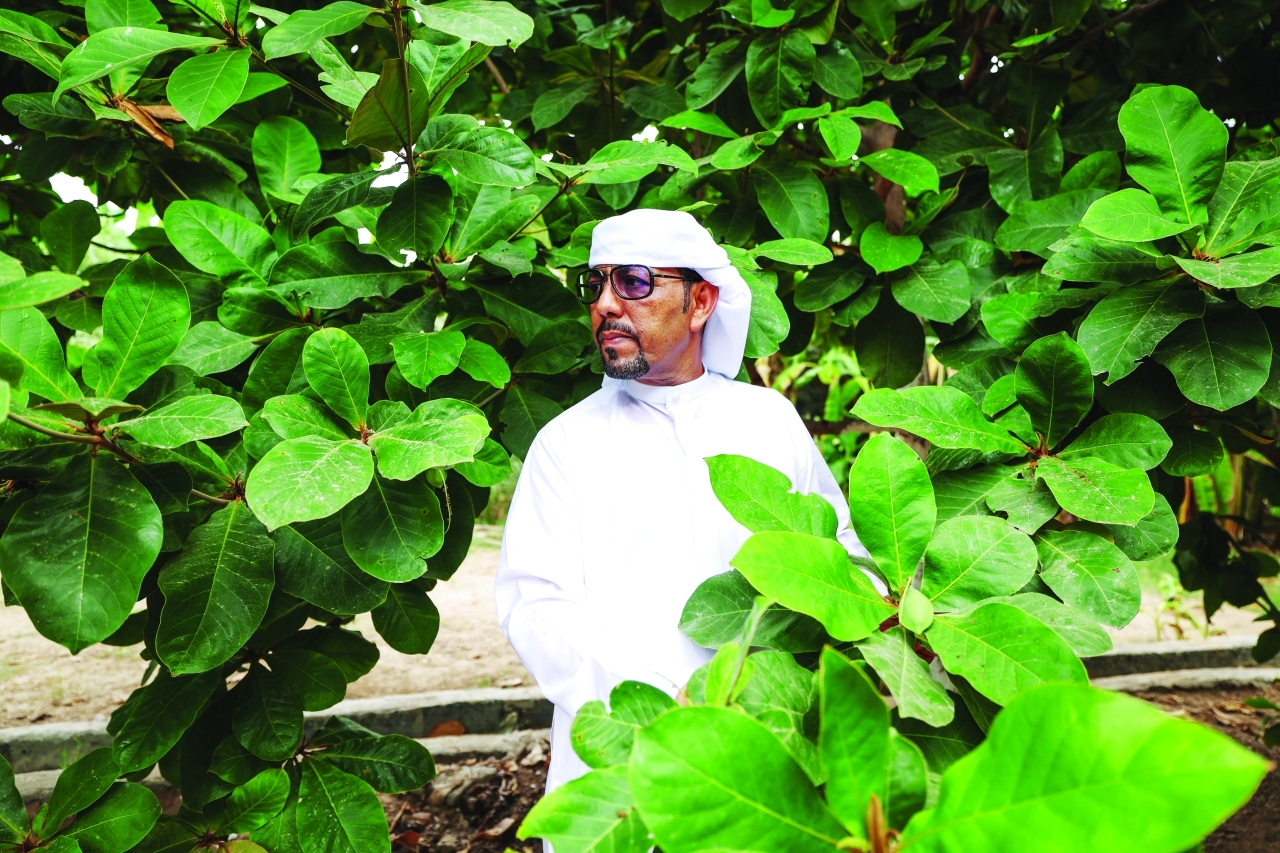 "تصوير: زيشان أحمد"