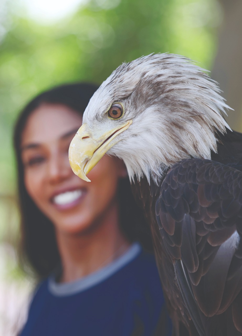 "| تصوير: سالم خميس"