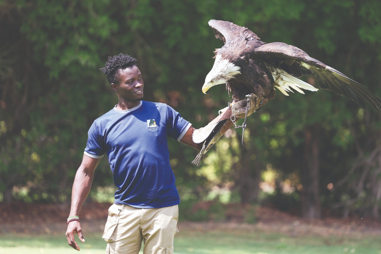 "| تصوير: سالم خميس"