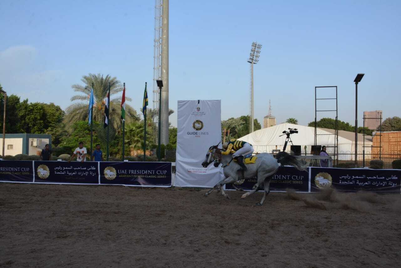 الجواد " جوهر سعفان" يحتفظ بكأس رئيس الدولة للخيول العربية في مصر