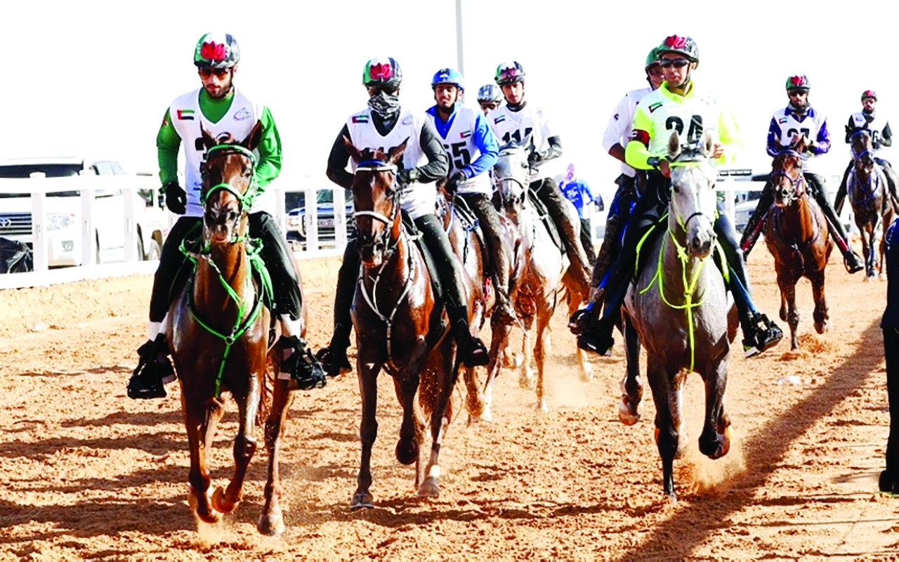 "جانب من منافسة سابقة | أرشيفية"