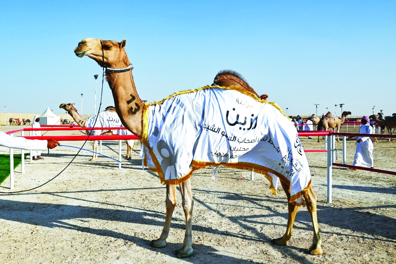 "جانب من الفعالية | وام"