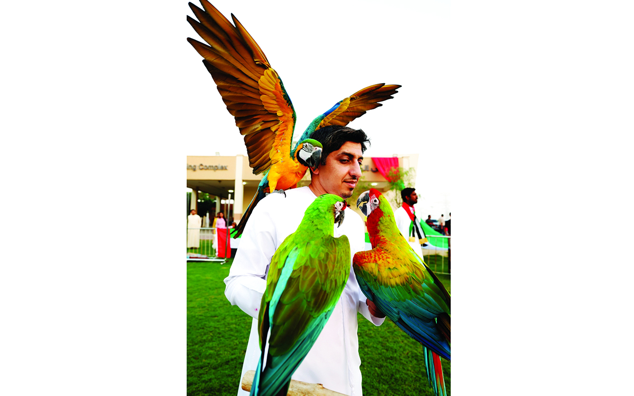 طيور ورسان