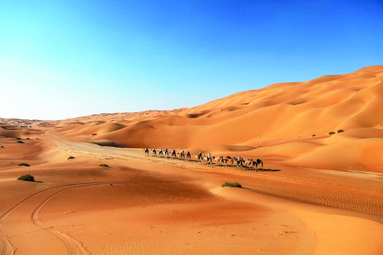 "الفعالية تمثل مزيجاً ثقافياً وحضارياً متنوعاً | من المصدر"