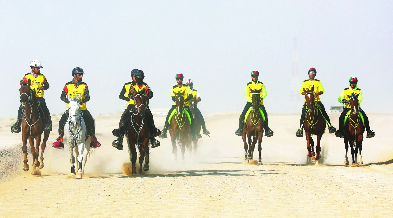 "تنافس قوي مرتقب على الكأس الغالية | البيان"