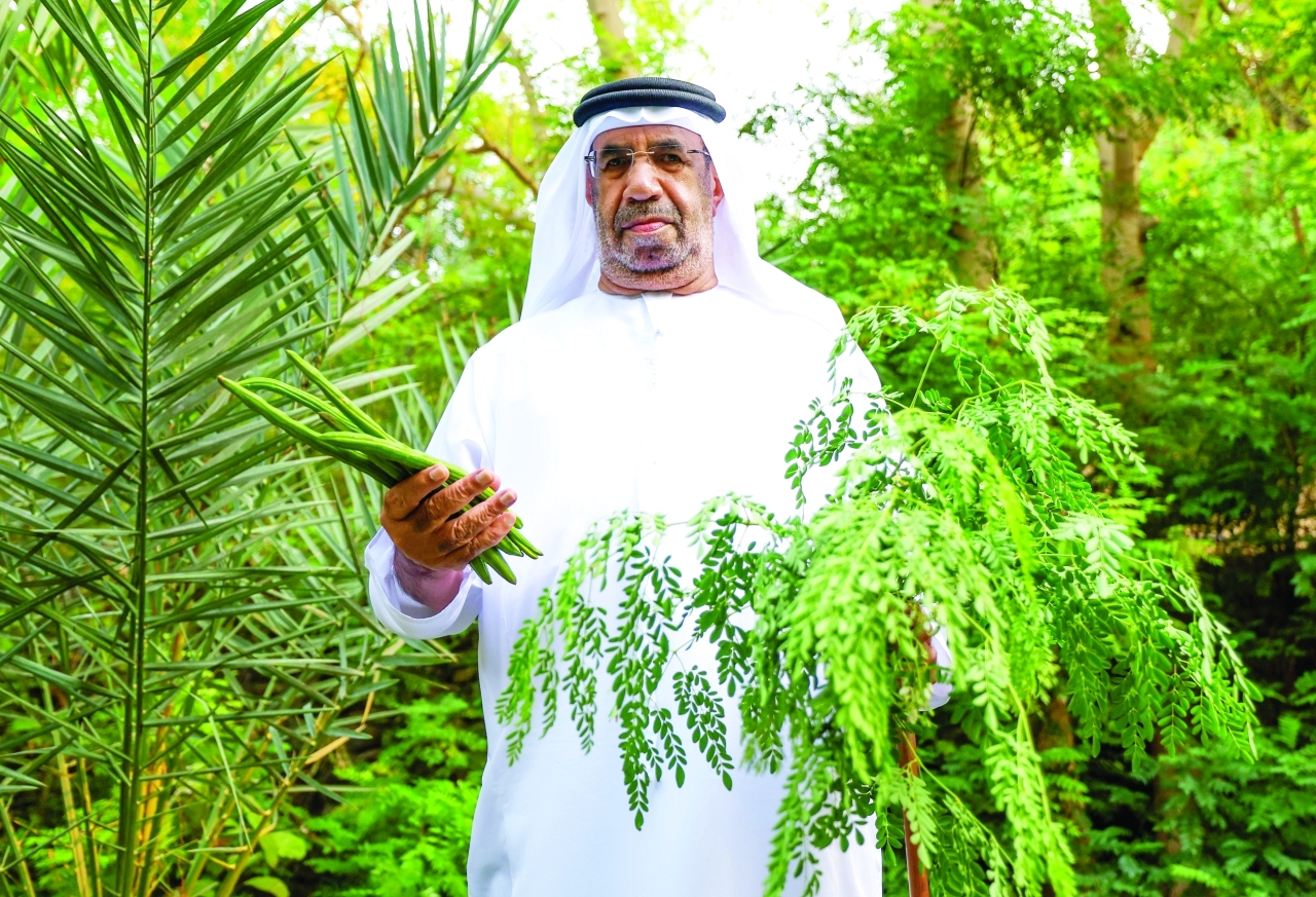 "تصوير: زيشان أحمد"