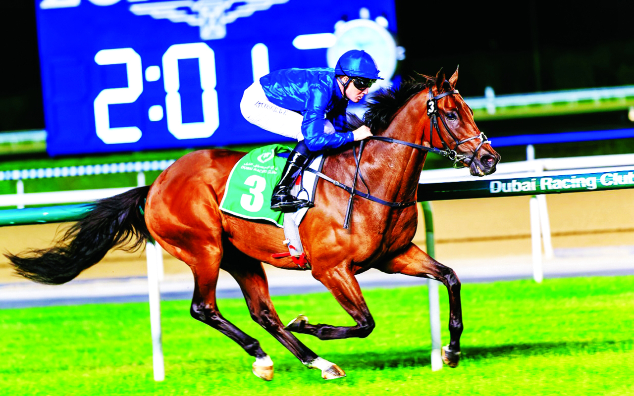 "«إليكتريكال ستورم» بطل «سباق ند الشبا كلاسيك» | البيان"