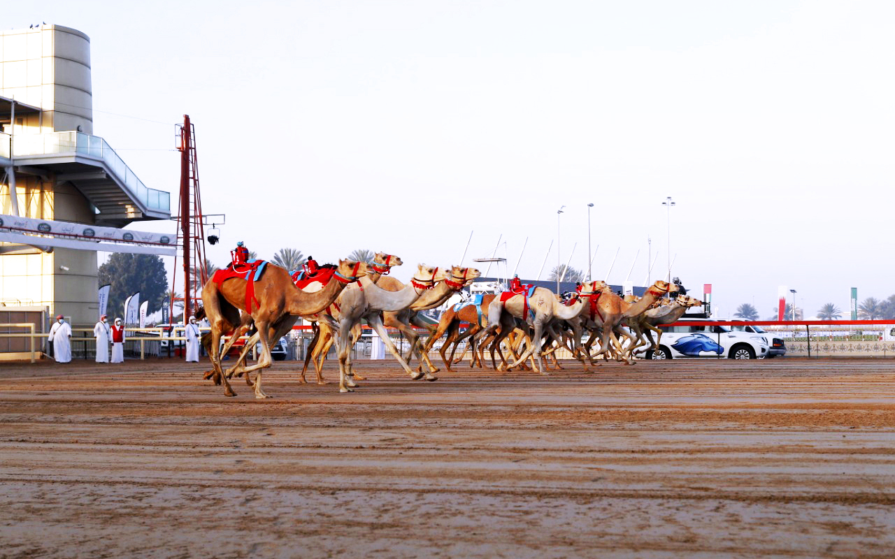 "أرشيفية"