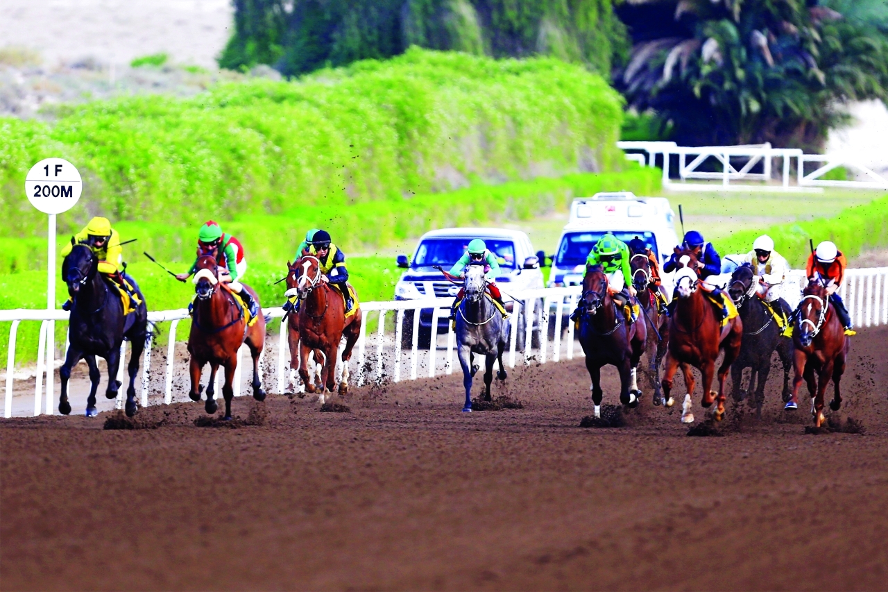"تنافس حاد على ألقاب «سباق زعبيل» | البيان"