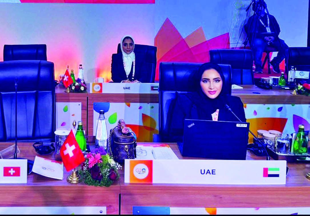 «المالية» تشارك في اجتماع مجموعة عمل البنية التحتية لمجموعة العشرين