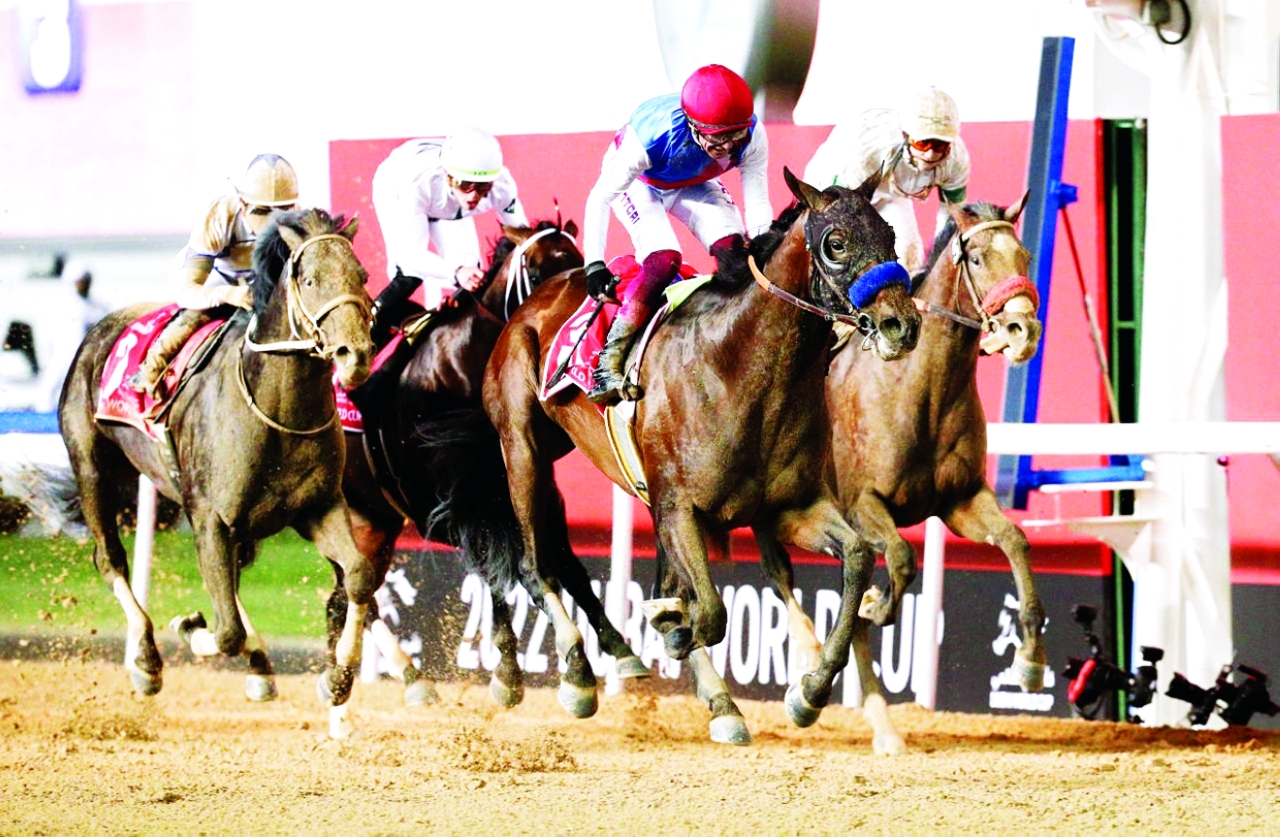 "«كنتري غرامر» مرشح للدفاع عن لقب كأس دبي العالمي | البيان"