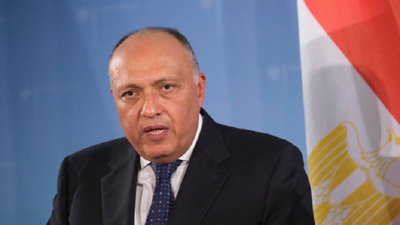 وزير الخارجية المصري : سنعمل مع الإمارات خلال COP28 لتعزيز العمل المناخي العالمي