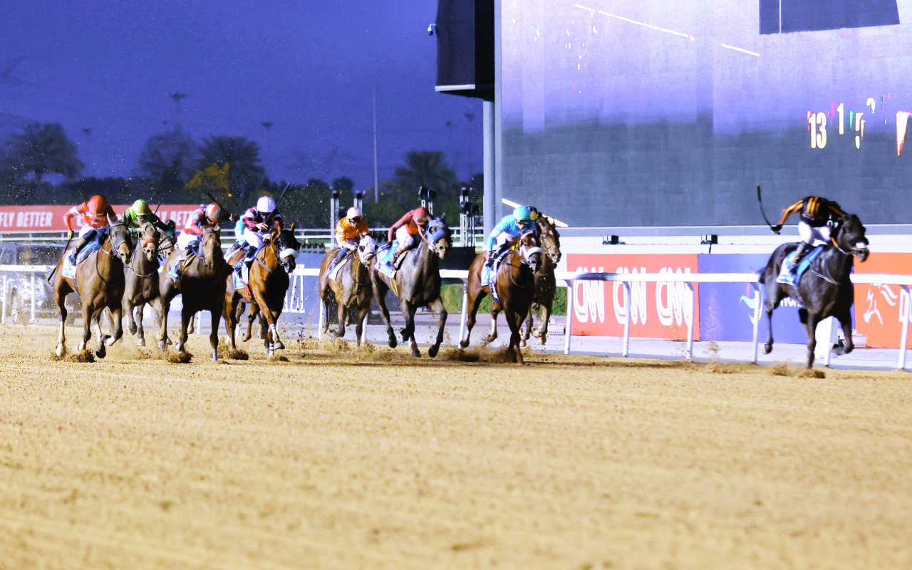 "«سويتزرلاند» خطف لقب «دبي جولدن شاهين» | أرشيفية"