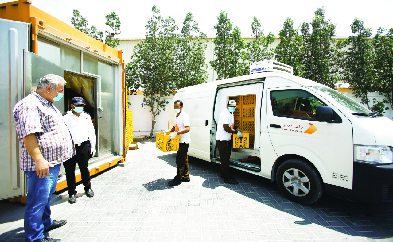 "نشاطات ومبادرات تجسد قيم الإنسانية والخير والعطاء في الإمارات | من المصدر"