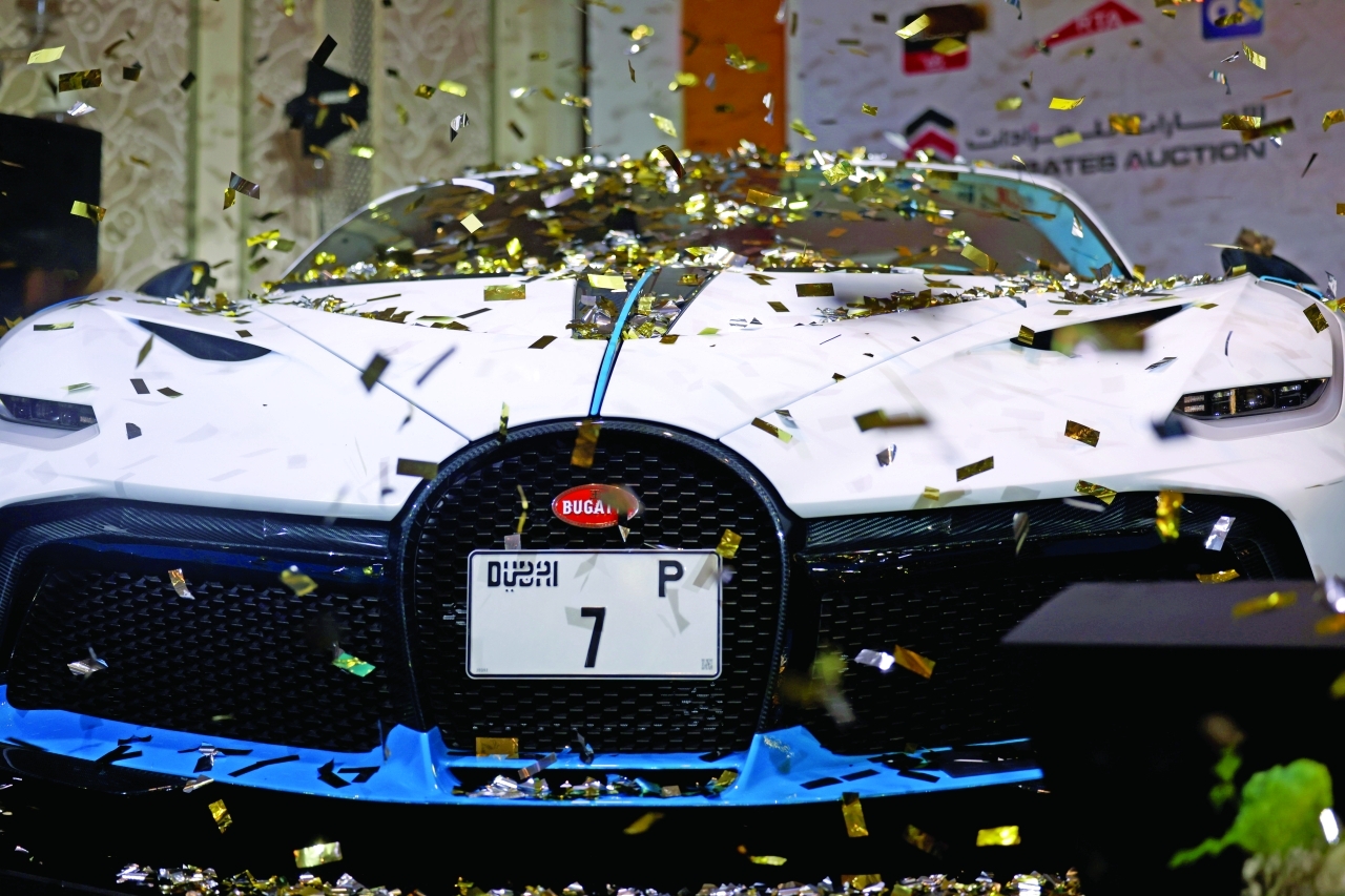 "تصوير/ إبراهيم صادق"