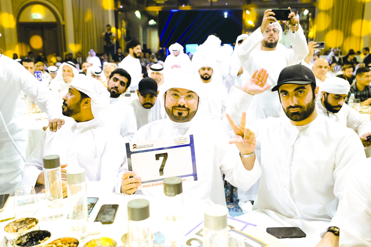 "تصوير/ إبراهيم صادق"