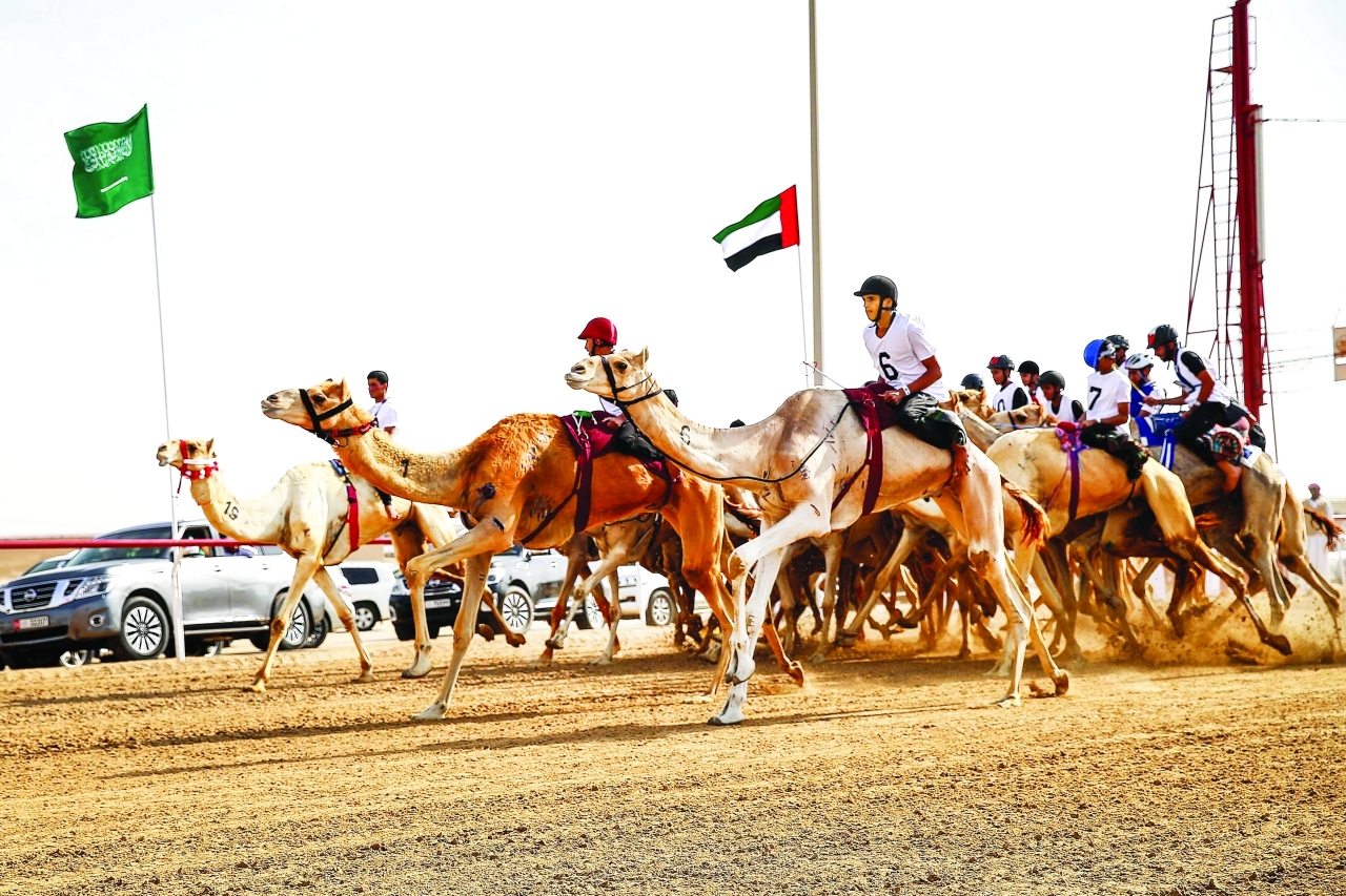 "إثارة وندية في منافسات السباق | البيان"