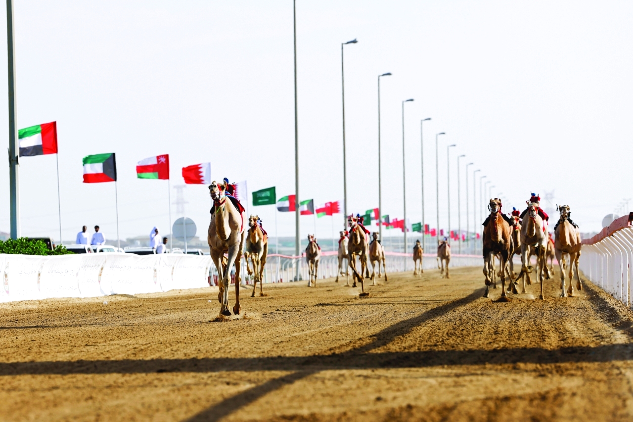 "إثارة في أشواط المهرجان | البيان"
