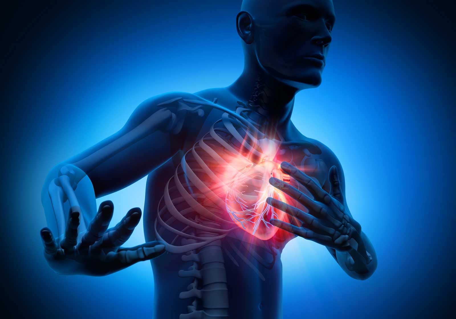 مخلب العقاب.. علاج فعَّال لمرضى النوبات القلبية