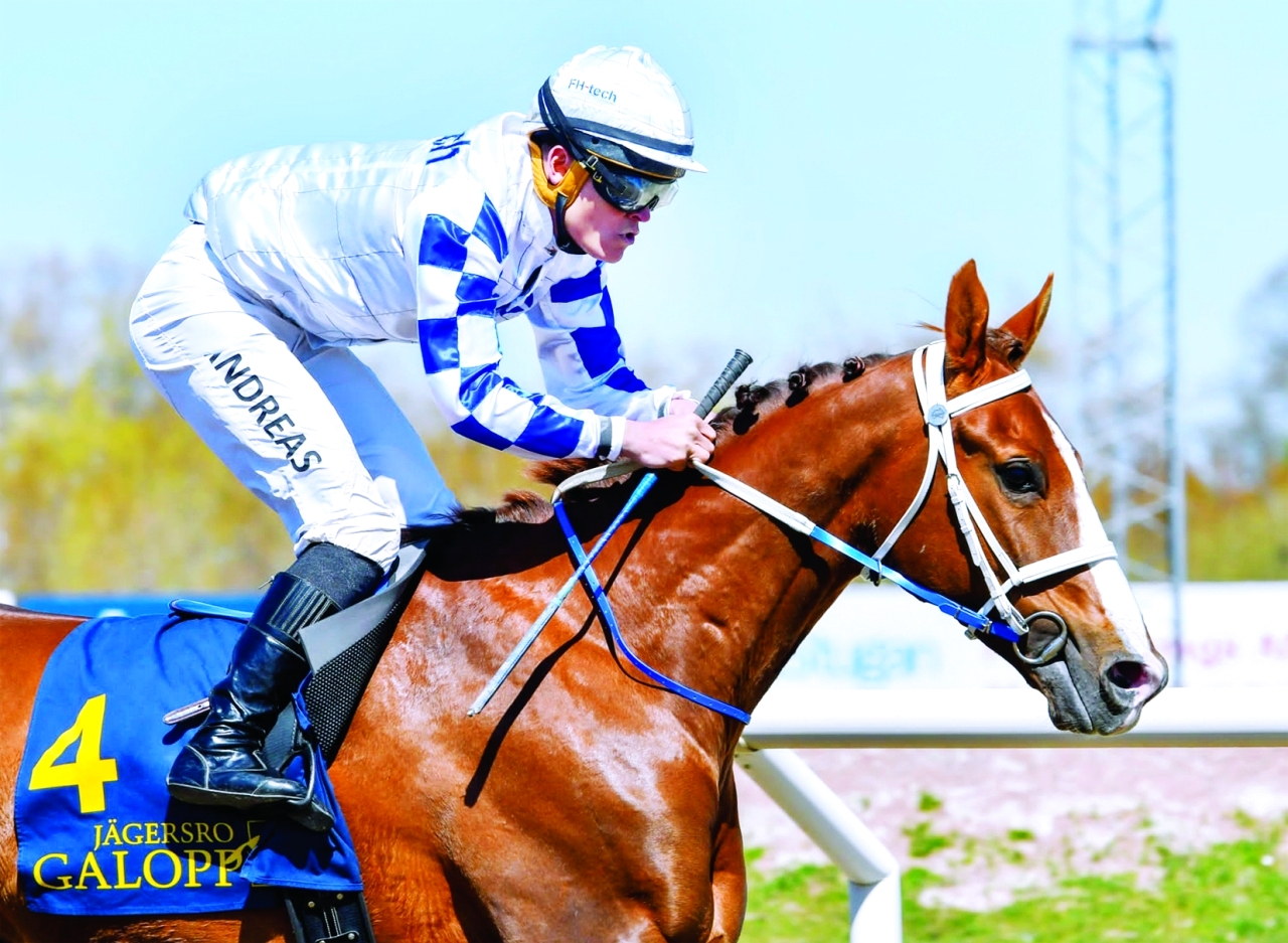 "«مهيمن» تفوق على منافسيه | البيان"