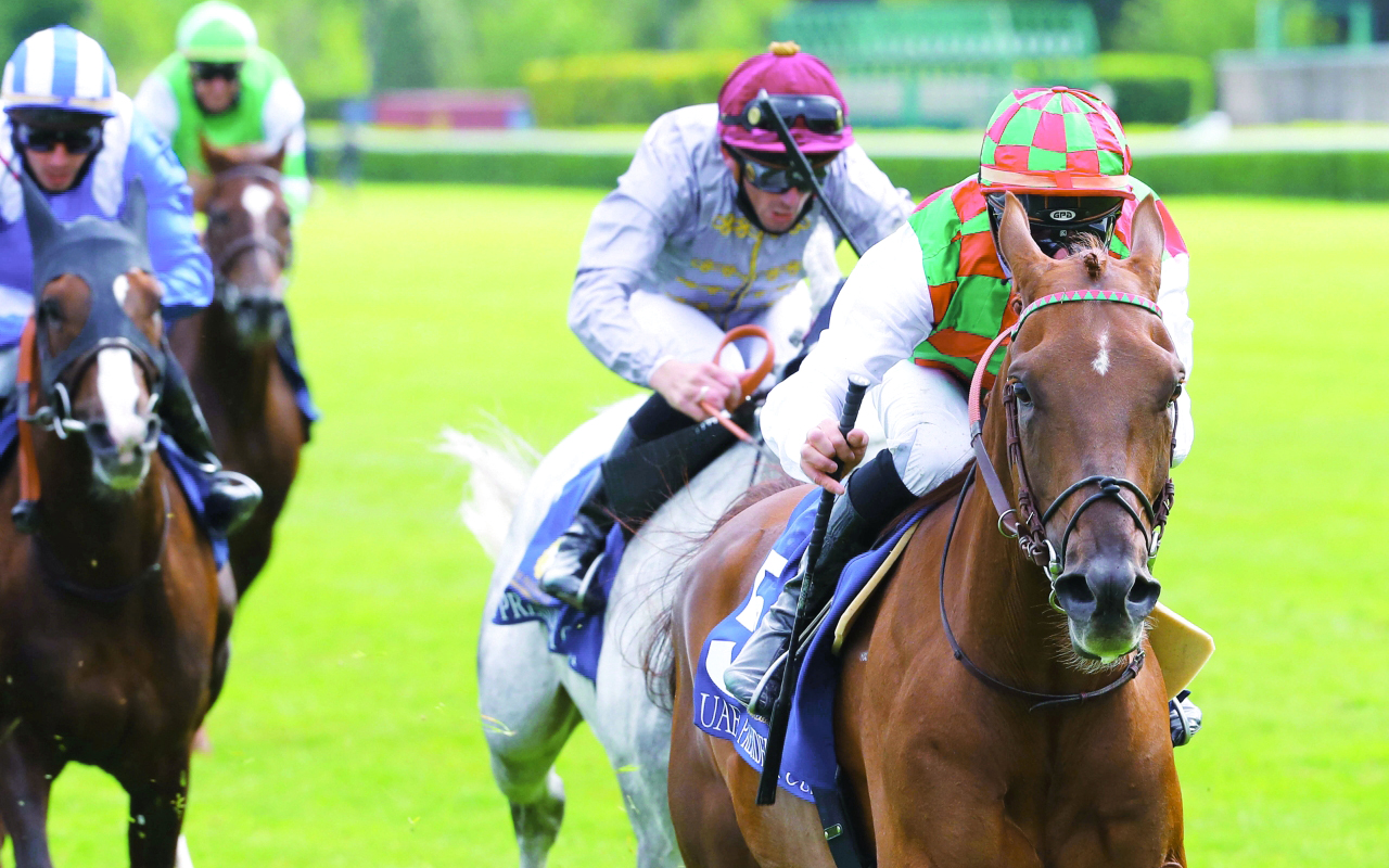 "تتنافس على الكأس الغالية مجموعة من أقوى وأفضل الخيول السريعة | البيان"