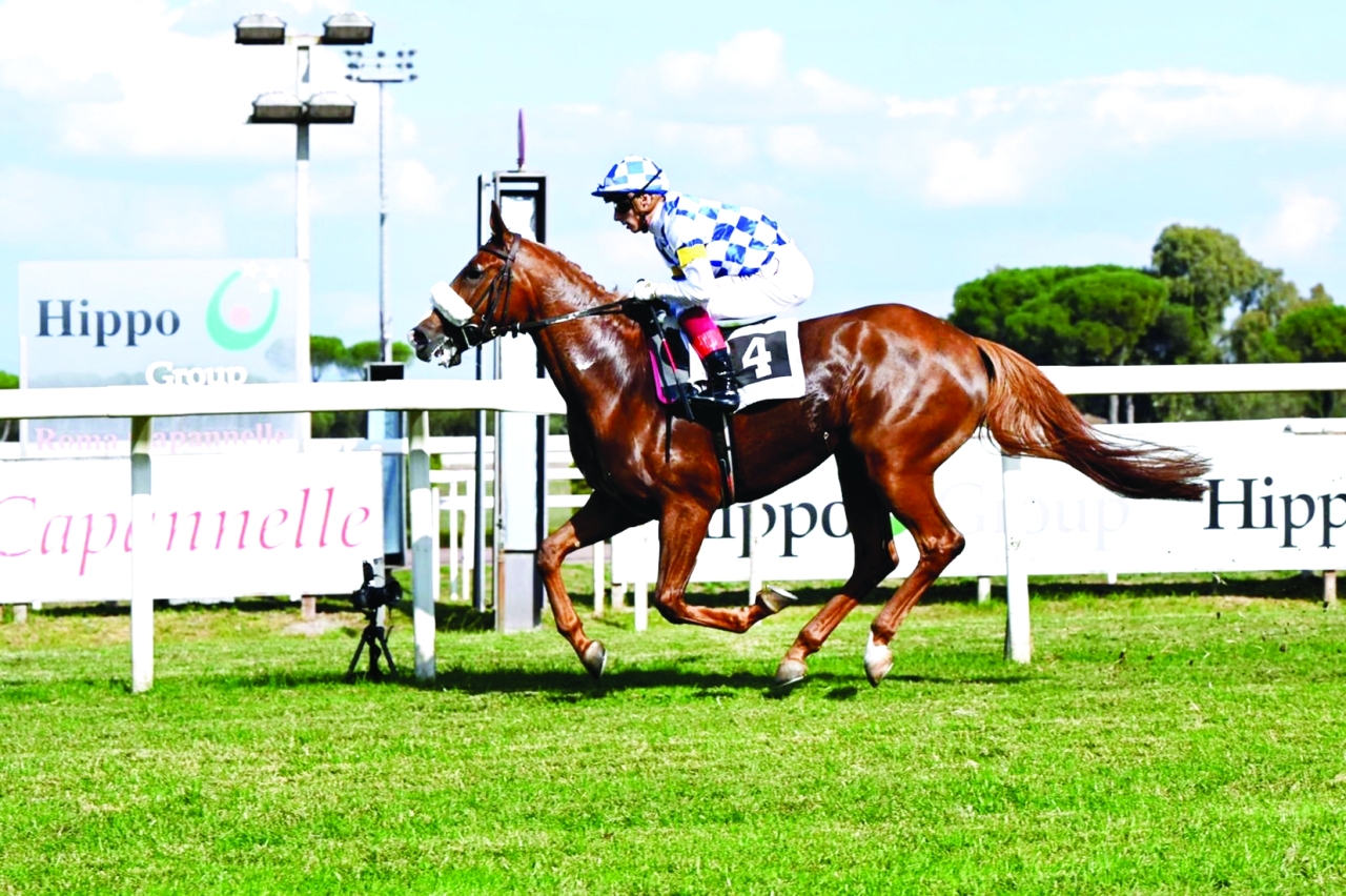 "جانب من فعالية سابقة | أرشيفية"