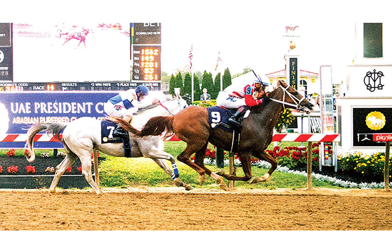 "تنافس قوي في السباق | البيان"