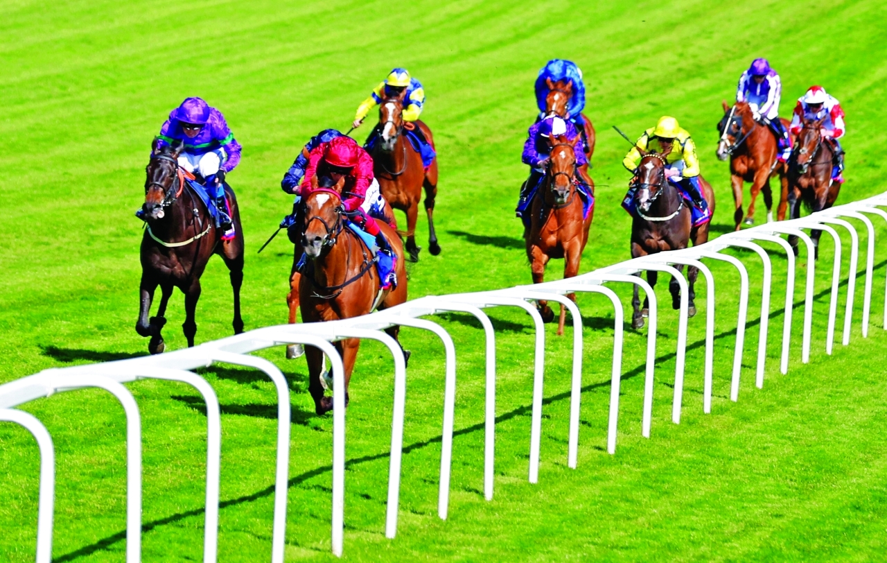 "«سول سيستر» تفاجئ الجميع في «الأوكس الإنجليزي» | رويترز"