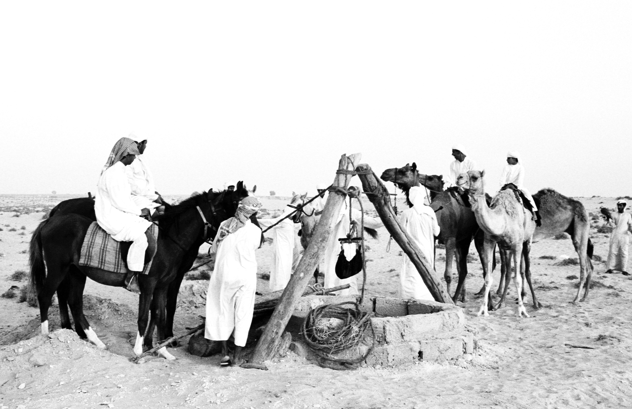 الخليج بين تقريرَي عام 1903 وعام 1919  - (2)