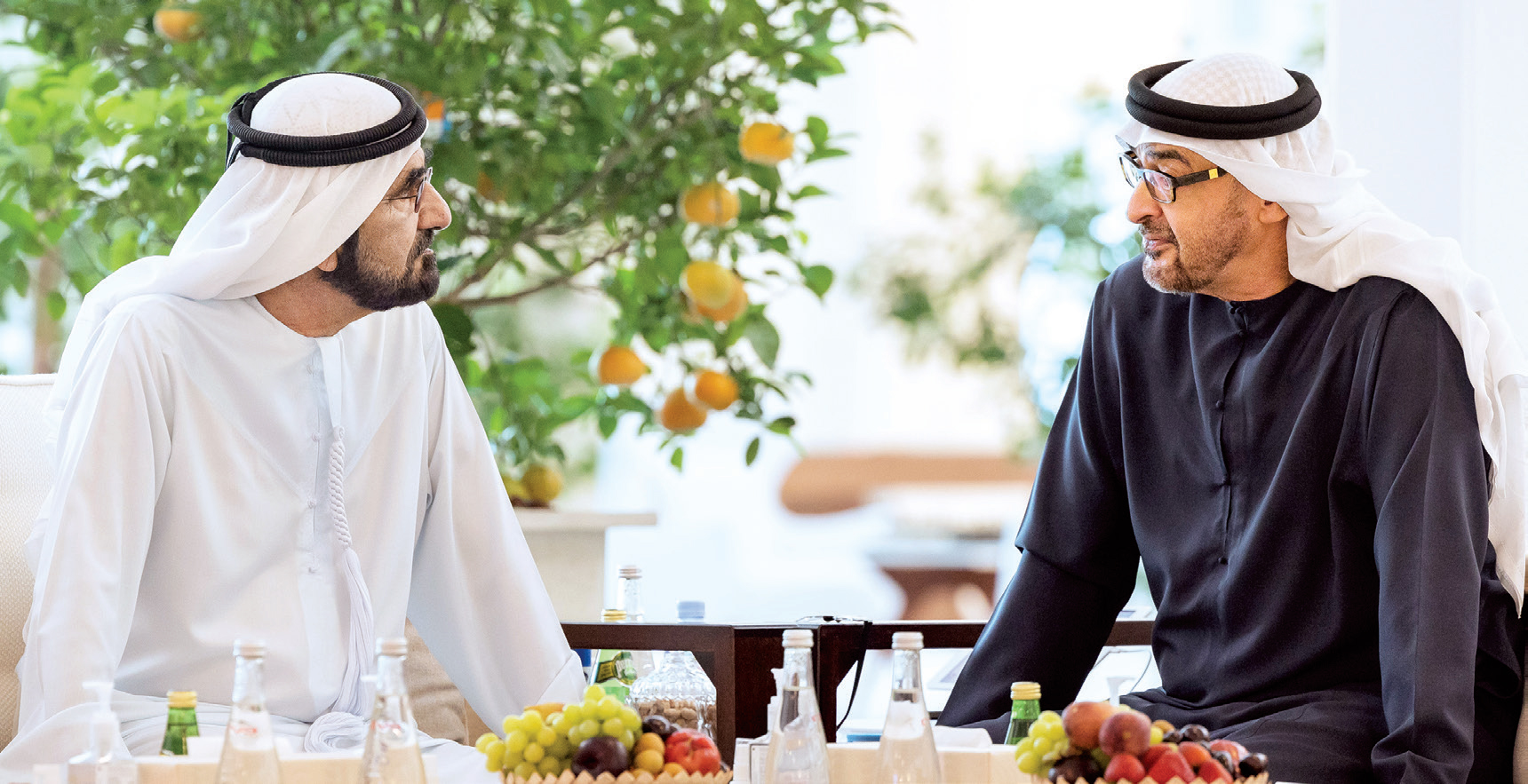 "محمد بن زايد ومحمد بن راشد"
