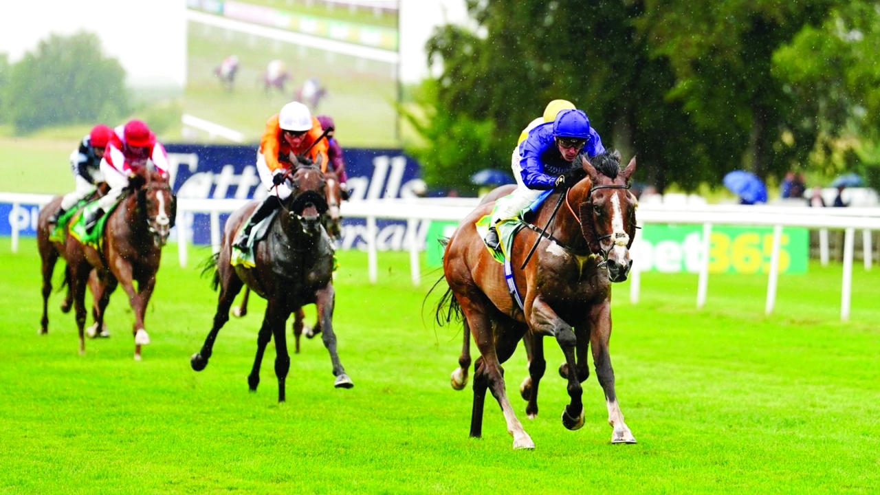 "«ليف يور دريم» يـتألق في الشوط الثالث من المصدر"