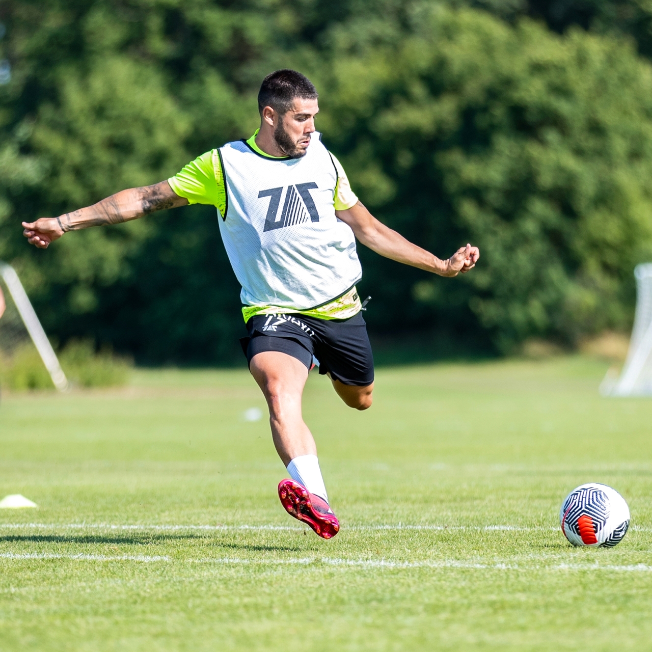 "اليخاندرو بوزويلو"