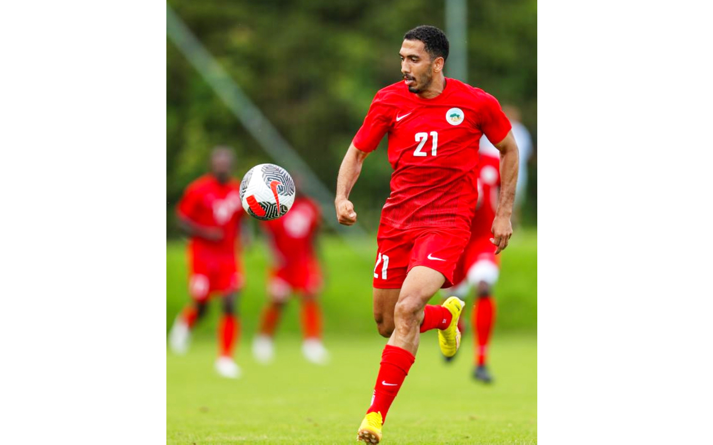 "أحمد الزيودي"