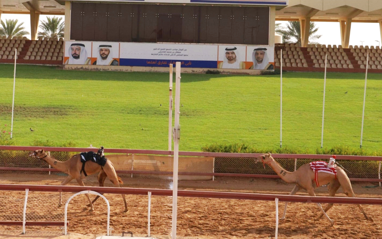 "من منافسات السباق | البيان"