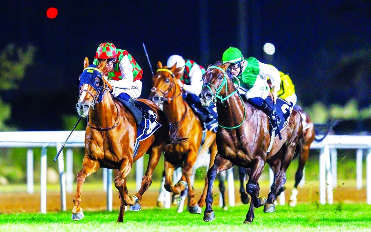 "تنافس قوي مرتقب في موسم سباقات الخيل | أرشيفية"