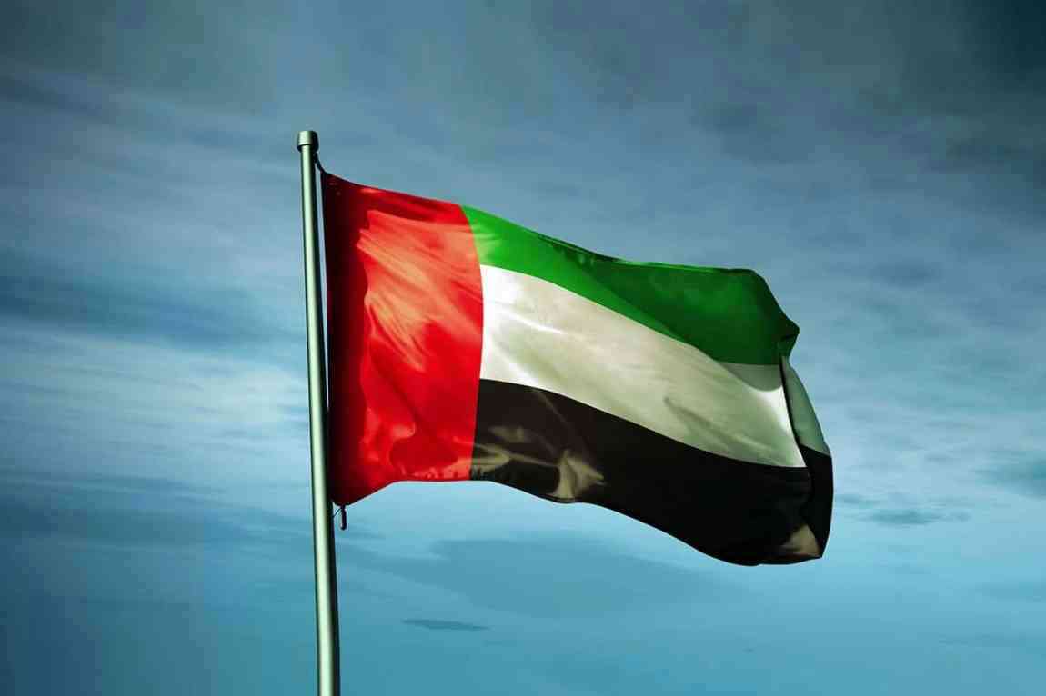 الإمارات تقود جهود تمكين أفريقيا في الطاقة النظيفة ومواجهة التغير المناخي