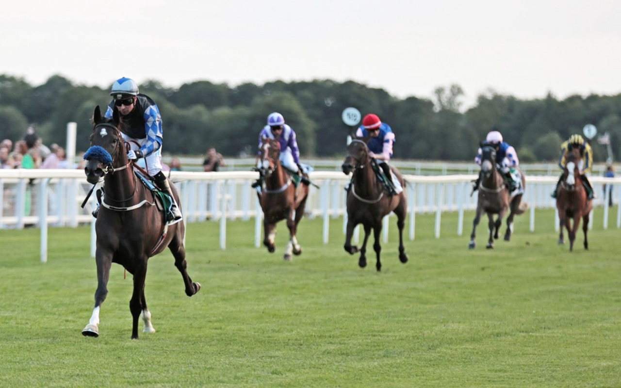 "«زايدة عذبة» خلال منافسة سابقة | أرشيفية"