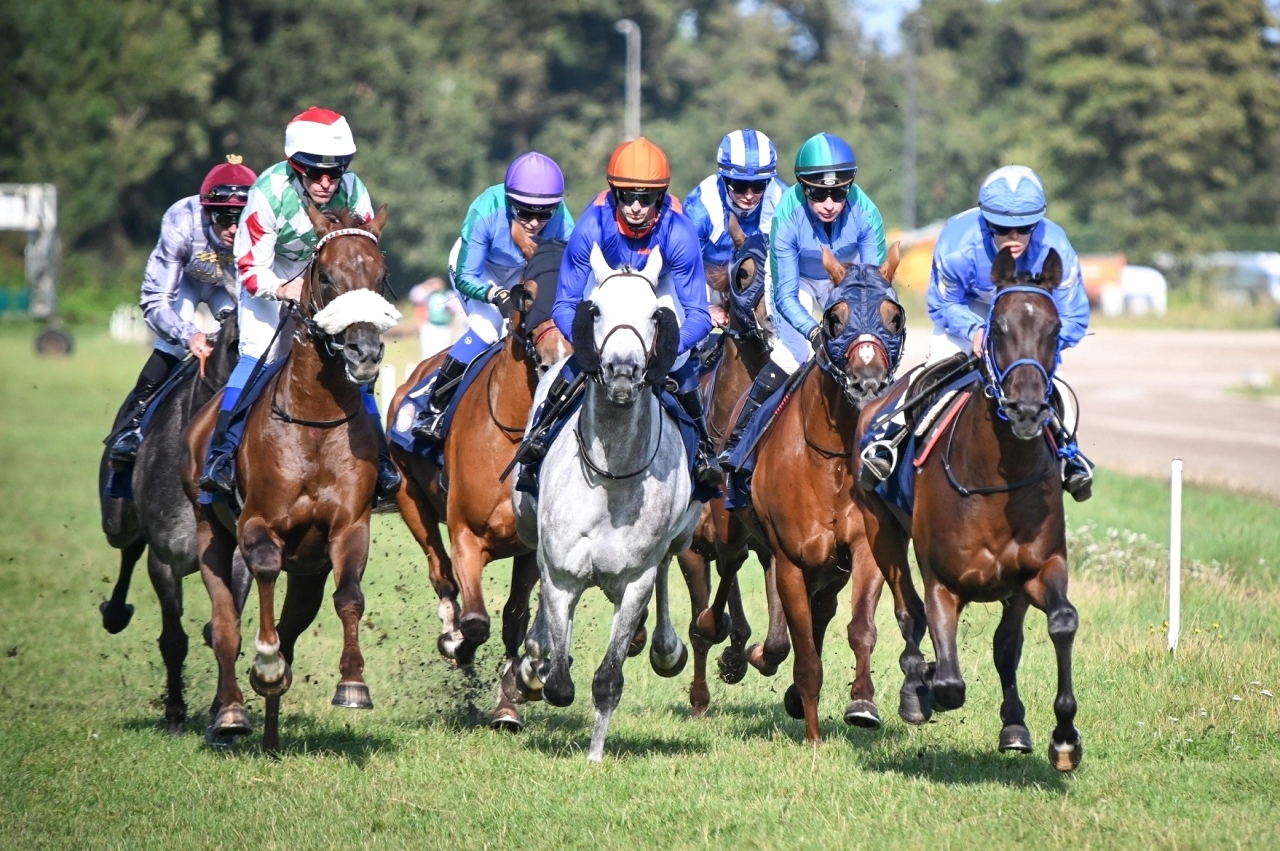 "نخبة الفرسان شاركوا في كافة محطات كأس صاحب السمو رئيس الدولة | البيان"