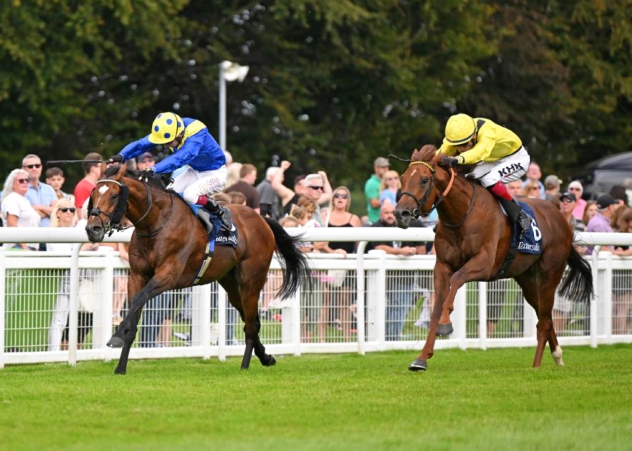 "«إمبيستو» يخوض تحدي اليوم الأول - من المصدر"